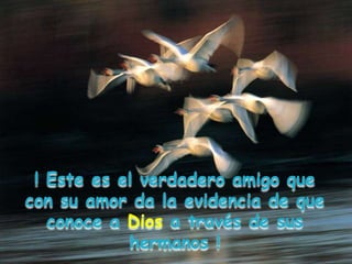 ! Este es el verdadero amigo que
con su amor da la evidencia de que
conoce a Dios a través de sus
hermanos !
 