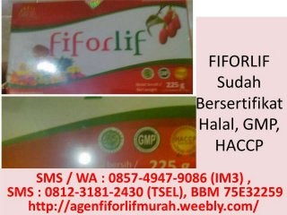 AGEN FIFORLIF BOGOR, HUBUNGI 0812-3181-2430 (TSel), Beli Fiforlif Bogor, Jual Fiforlif  Bogor