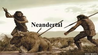 Neandertal
 