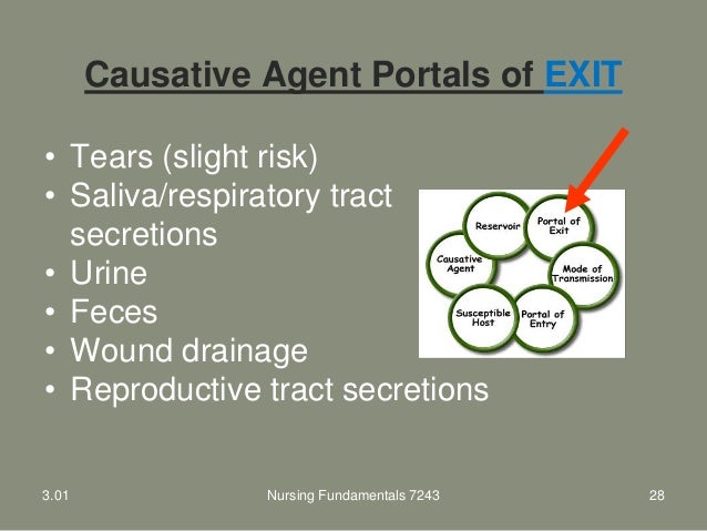 3.01 ppt infection control