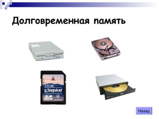 Дoлгoвpeмeннaя naмять
Назад
 