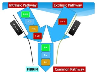 F-XII
F-XI
F-VIII
F-IX
F-VII
F-X
F-V
F-II
 