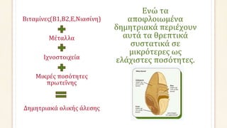 Βιταμίνες(Β1,Β2,Ε,Νιασίνη)
Μέταλλα
Ιχνοστοιχεία
Μικρές ποσότητες
πρωτεΐνης
Δημητριακά ολικής άλεσης
Ενώ τα
αποφλοιωμένα
δημητριακά περιέχουν
αυτά τα θρεπτικά
συστατικά σε
μικρότερες ως
ελάχιστες ποσότητες.
 