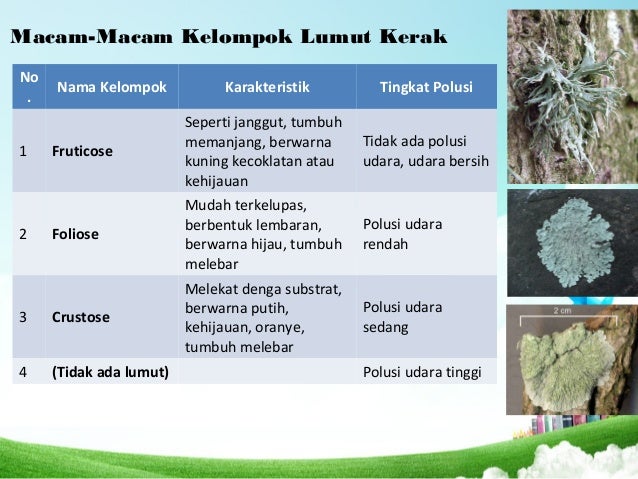 Indikator Polusi Polusi Udara Polusi Air Polusi Tanah Indikator Polusi Polusi Udara Polusi Air Polusi Tanah