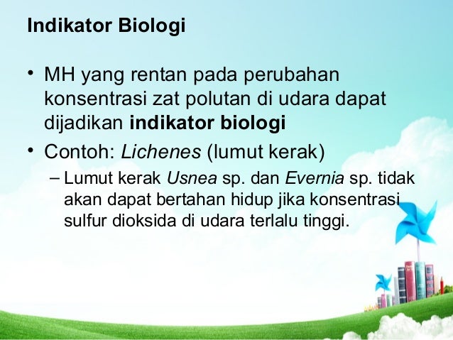 Indikator Polusi Polusi Udara Polusi Air Polusi Tanah Indikator Polusi Polusi Udara Polusi Air Polusi Tanah