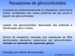 Receptores de glicocorticóides
Localizam-se predominantemente no citoplasma, numa forma
inativa, complexado com outras proteínas até que ocorra a
ligação dos glicocorticóides;
Ligação dos glicocorticóides: dissociação das proteínas e
translocação para o núcleo;
Dímero de receptores: interação com seqüências de DNA
denominadas elementos responsivos aos glicocorticóides:
indução ou repressão de expressão gênica;
Interação com fatores de transcrição.
SCHIMMER; PARKER, 2006
 