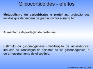 Glicocorticóides - efeitos
Metabolismo de carboidratos e proteínas: proteção dos
tecidos que dependem de glicose contra a inanição:
Aumento da degradação de proteínas;
Estímulo da gliconeogênese (mobilização de aminoácidos,
indução da transcrição de enzimas da via gliconeogênica) e
do armazenamento de glicogênio;
SCHIMMER; PARKER, 2006
 