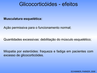 Glicocorticóides - efeitos
Musculatura esquelética:
Ação permissiva para o funcionamento normal;
Quantidades excessivas: debilitação do músculo esquelético;
Miopatia por esteróides: fraqueza e fadiga em pacientes com
excesso de glicocorticóides.
SCHIMMER; PARKER, 2006
 