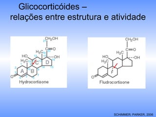 Glicocorticóides –
relações entre estrutura e atividade
SCHIMMER; PARKER, 2006
 