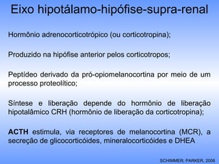 Eixo hipotálamo-hipófise-supra-renal
Hormônio adrenocorticotrópico (ou corticotropina);
Produzido na hipófise anterior pelos corticotropos;
Peptídeo derivado da pró-opiomelanocortina por meio de um
processo proteolítico;
Síntese e liberação depende do hormônio de liberação
hipotalâmico CRH (hormônio de liberação da corticotropina);
ACTH estimula, via receptores de melanocortina (MCR), a
secreção de glicocorticóides, mineralocorticóides e DHEA
SCHIMMER; PARKER, 2006
 