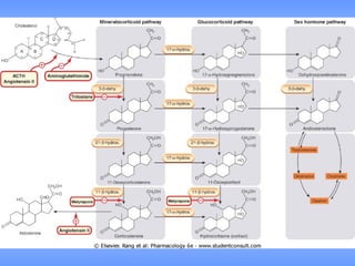 3. corticóides 3 março