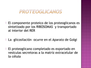  El componente proteico de los proteoglicanos es
sintetizado por los RIBOSOMAS y transportado
al interior del RER
 La glicosilación ocurre en el Aparato de Golgi
 El proteoglicano completado es exportado en
vesículas secretoras a la matriz extracelular de
la célula
 