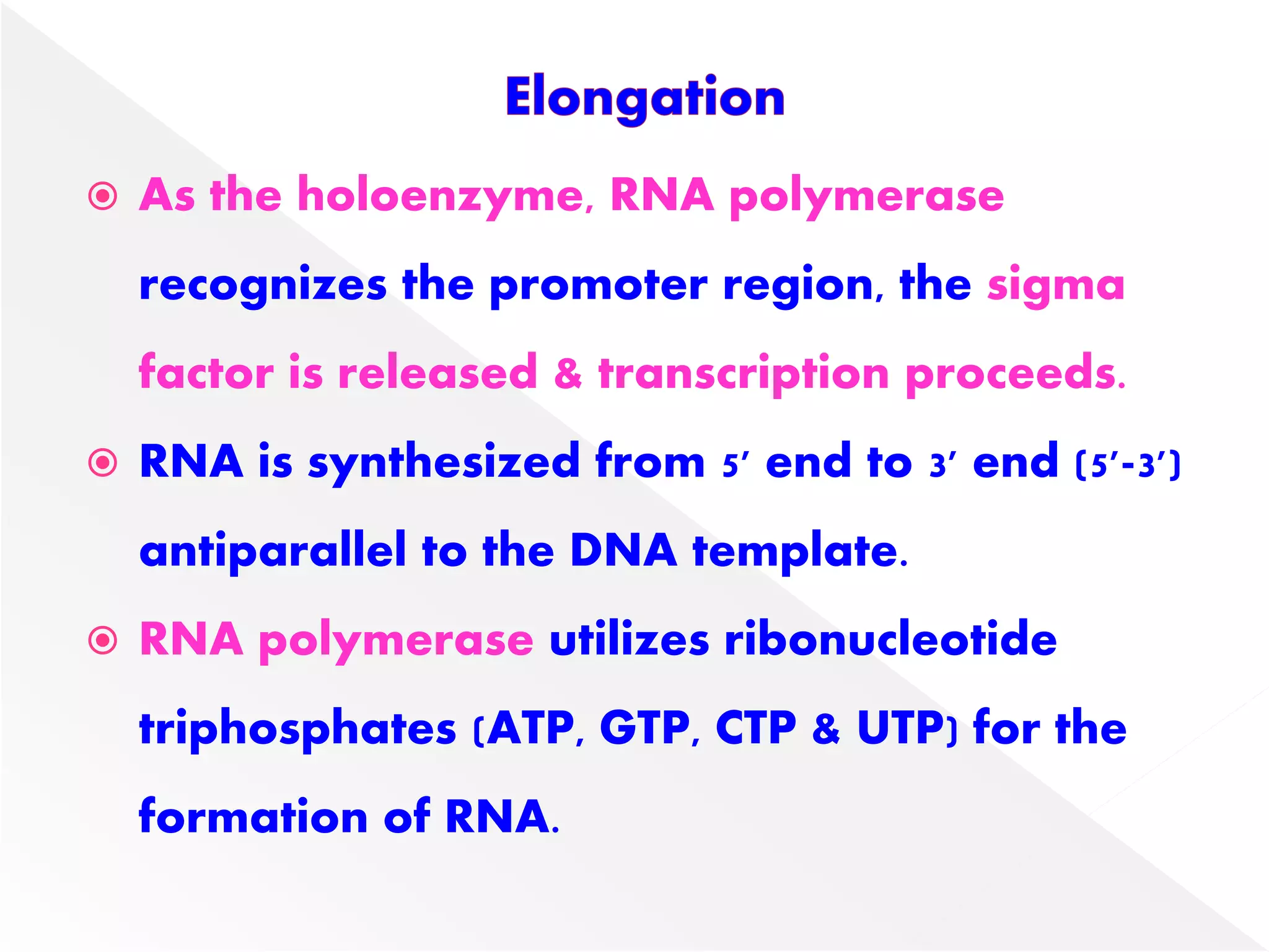  As the holoenzyme, RNA polymerase
recognizes the promoter region, the sigma
factor is released & transcription proceeds.
 RNA is synthesized from 5' end to 3' end (5'-3')
antiparallel to the DNA template.
 RNA polymerase utilizes ribonucleotide
triphosphates (ATP, GTP, CTP & UTP) for the
formation of RNA.
 