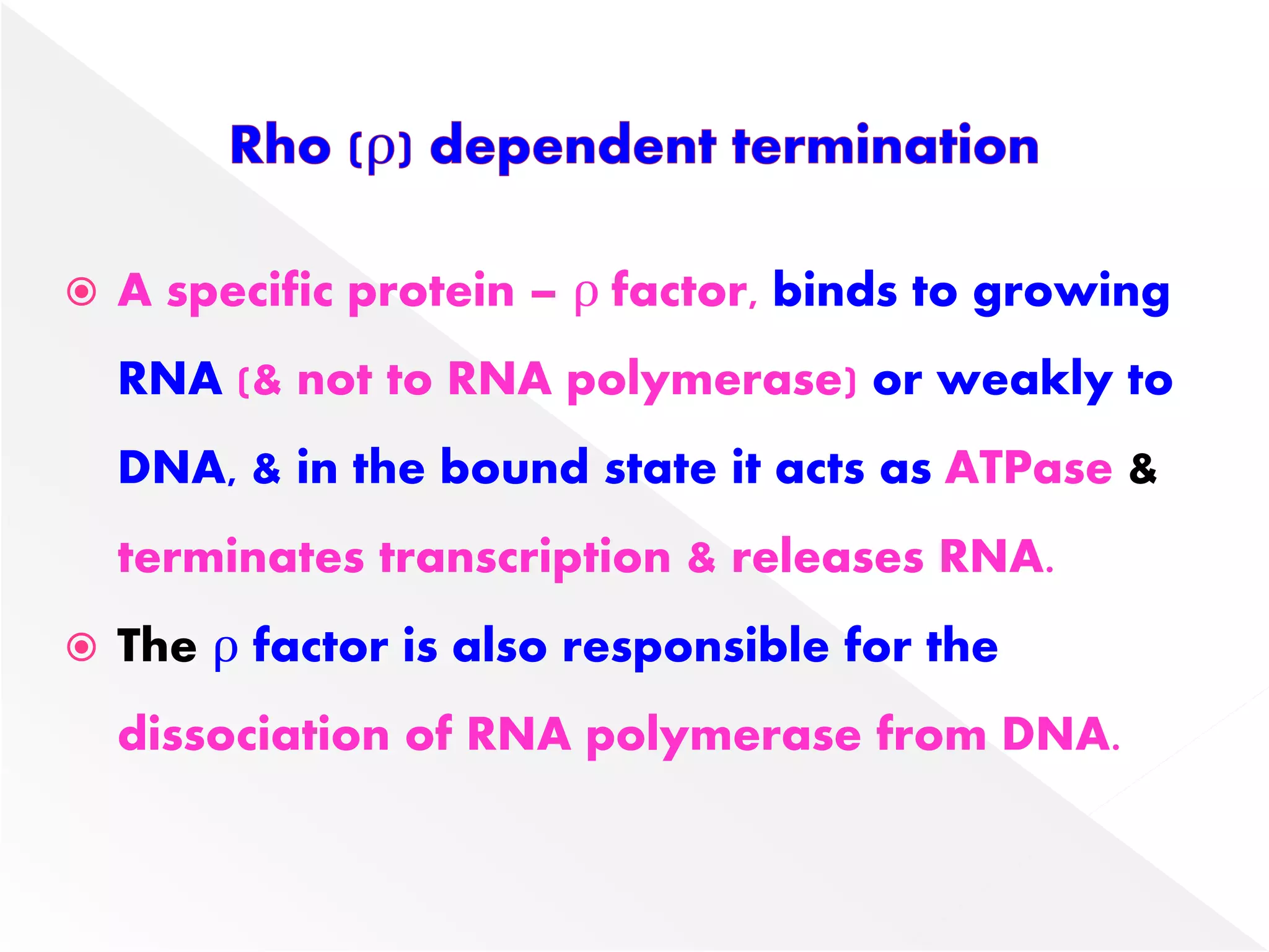  A specific protein – ρ factor, binds to growing
RNA (& not to RNA polymerase) or weakly to
DNA, & in the bound state it acts as ATPase &
terminates transcription & releases RNA.
 The ρ factor is also responsible for the
dissociation of RNA polymerase from DNA.
 