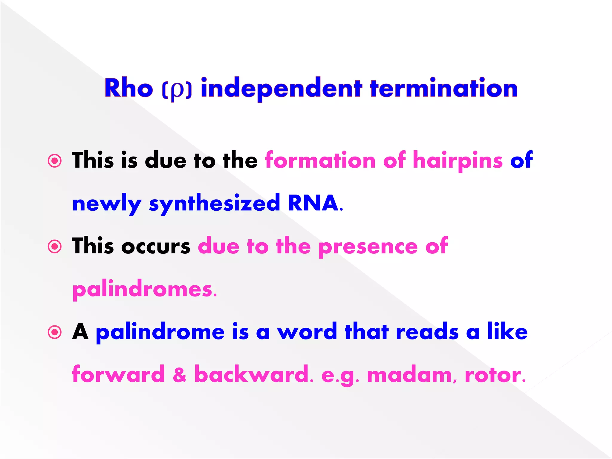  This is due to the formation of hairpins of
newly synthesized RNA.
 This occurs due to the presence of
palindromes.
 A palindrome is a word that reads a like
forward & backward. e.g. madam, rotor.
 