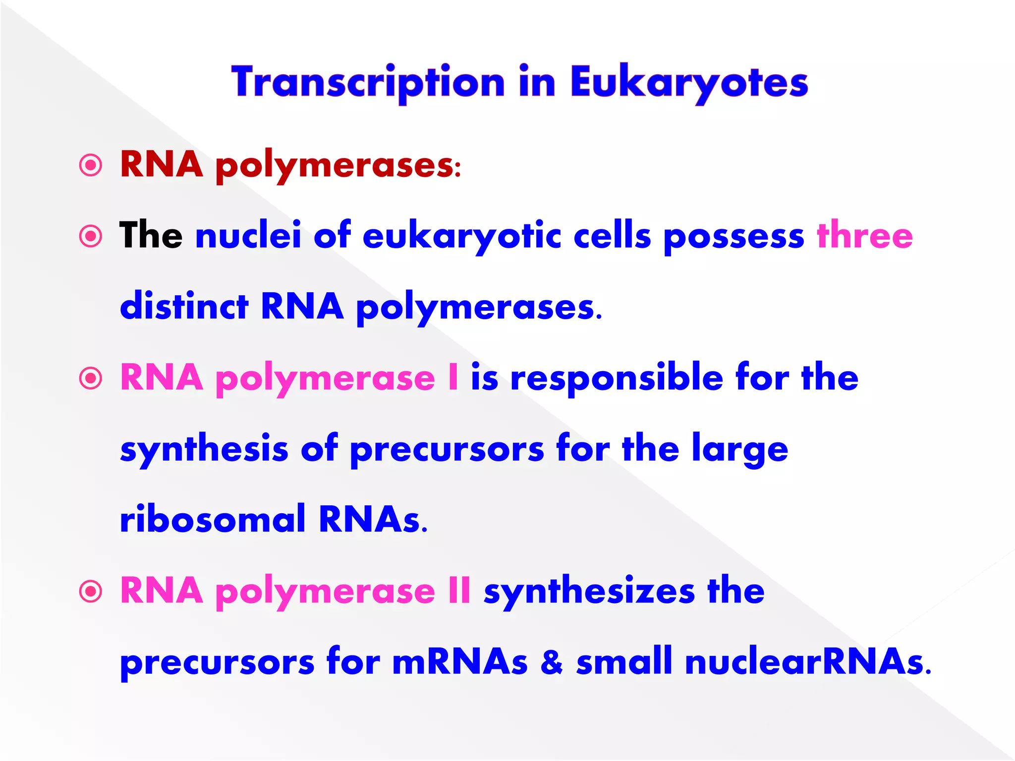  RNA polymerases:
 The nuclei of eukaryotic cells possess three
distinct RNA polymerases.
 RNA polymerase I is responsible for the
synthesis of precursors for the large
ribosomal RNAs.
 RNA polymerase II synthesizes the
precursors for mRNAs & small nuclearRNAs.
 