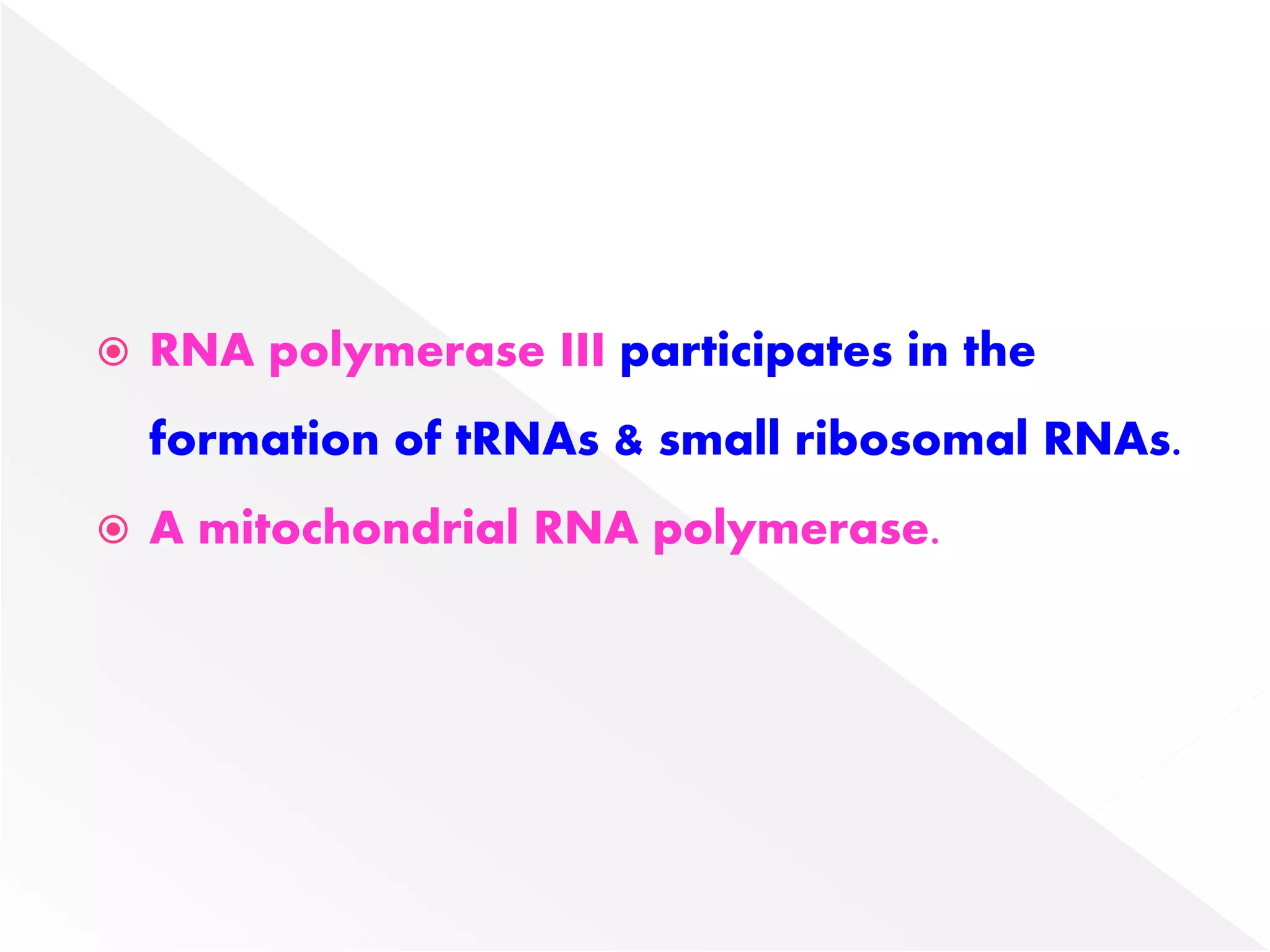  RNA polymerase III participates in the
formation of tRNAs & small ribosomal RNAs.
 A mitochondrial RNA polymerase.
 