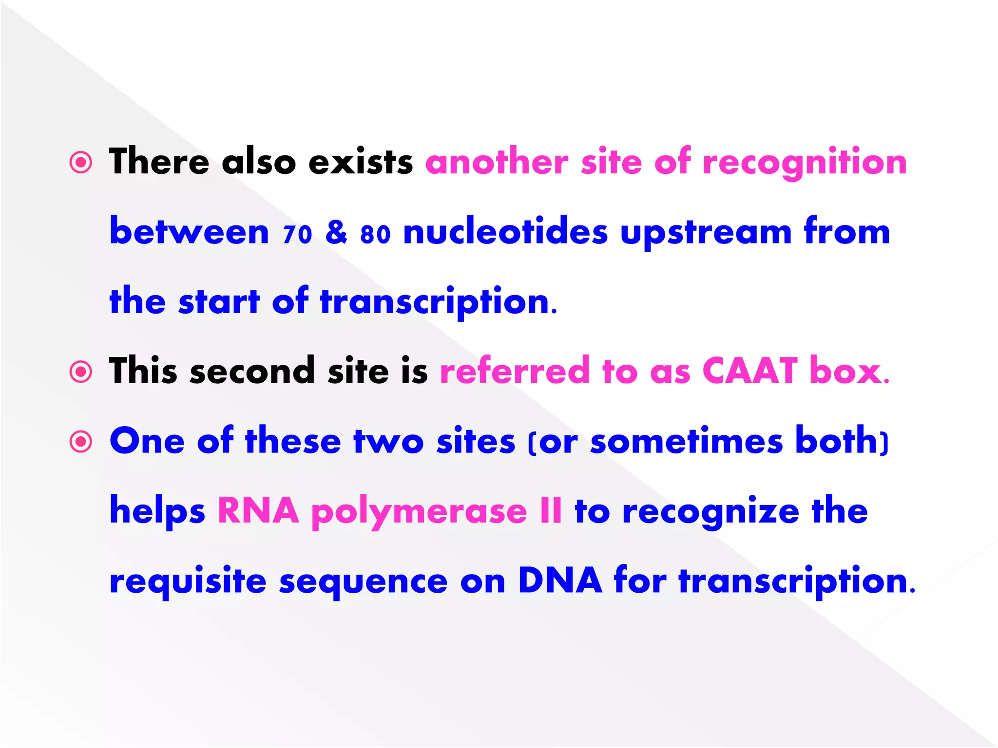  There also exists another site of recognition
between 70 & 80 nucleotides upstream from
the start of transcription.
 This second site is referred to as CAAT box.
 One of these two sites (or sometimes both)
helps RNA polymerase II to recognize the
requisite sequence on DNA for transcription.
 