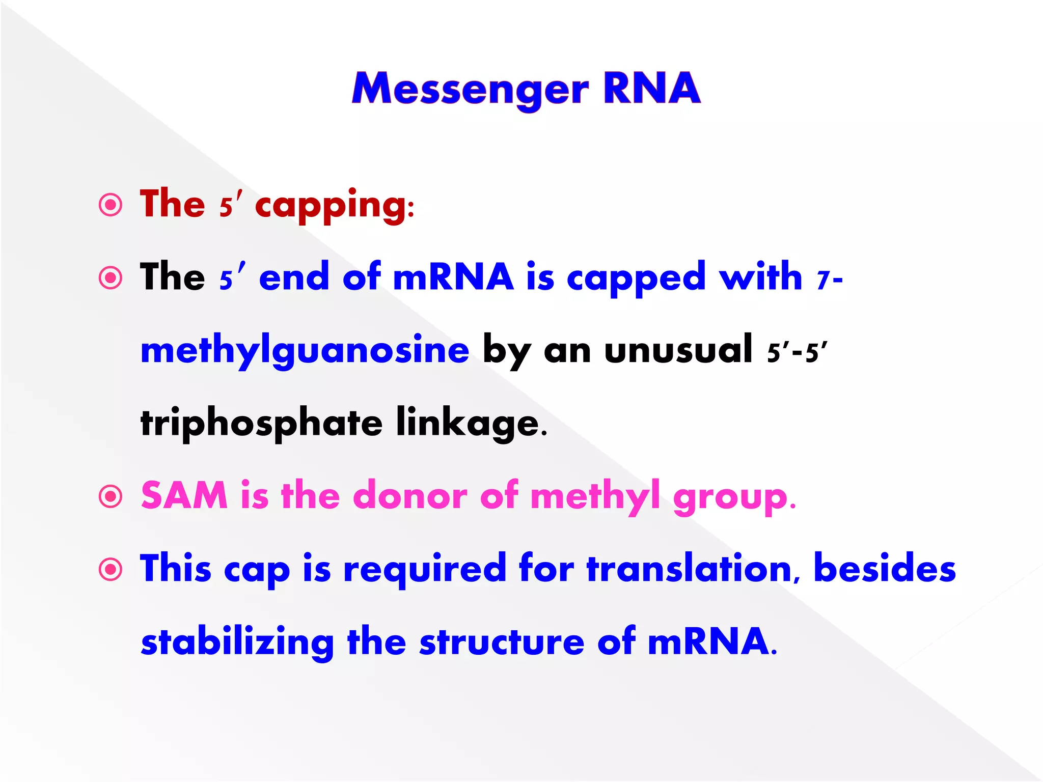  The 5′ capping:
 The 5′ end of mRNA is capped with 7-
methylguanosine by an unusual 5'-5'
triphosphate linkage.
 SAM is the donor of methyl group.
 This cap is required for translation, besides
stabilizing the structure of mRNA.
 