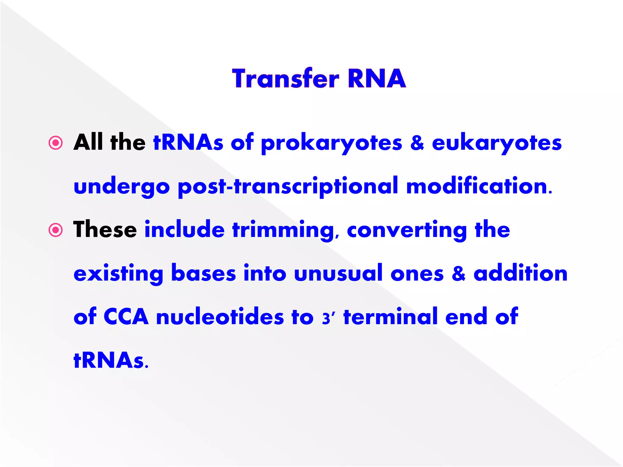  All the tRNAs of prokaryotes & eukaryotes
undergo post-transcriptional modification.
 These include trimming, converting the
existing bases into unusual ones & addition
of CCA nucleotides to 3' terminal end of
tRNAs.
 