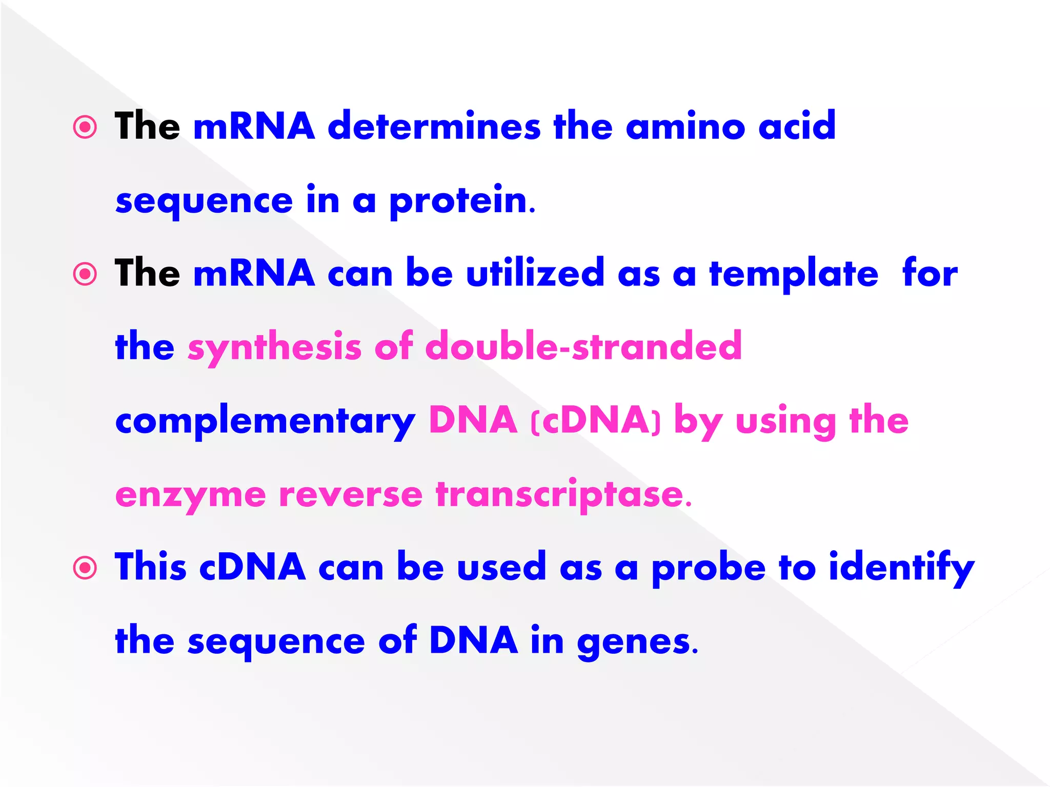  The mRNA determines the amino acid
sequence in a protein.
 The mRNA can be utilized as a template for
the synthesis of double-stranded
complementary DNA (cDNA) by using the
enzyme reverse transcriptase.
 This cDNA can be used as a probe to identify
the sequence of DNA in genes.
 