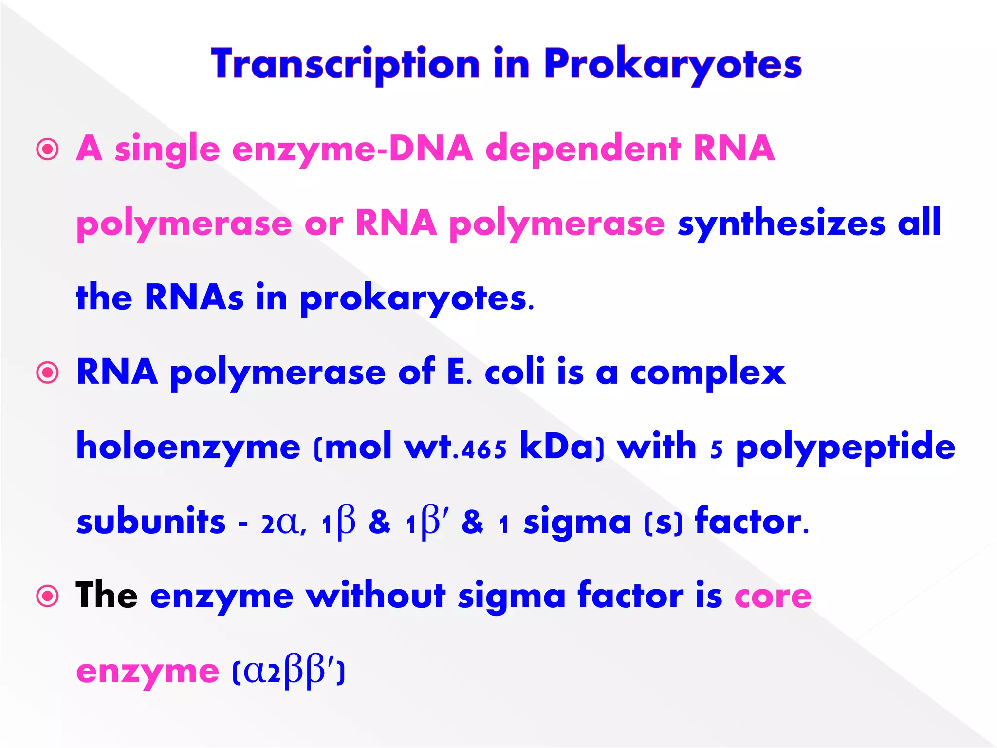  A single enzyme-DNA dependent RNA
polymerase or RNA polymerase synthesizes all
the RNAs in prokaryotes.
 RNA polymerase of E. coli is a complex
holoenzyme (mol wt.465 kDa) with 5 polypeptide
subunits - 2α, 1β & 1β′ & 1 sigma (s) factor.
 The enzyme without sigma factor is core
enzyme (α2ββ′)
 