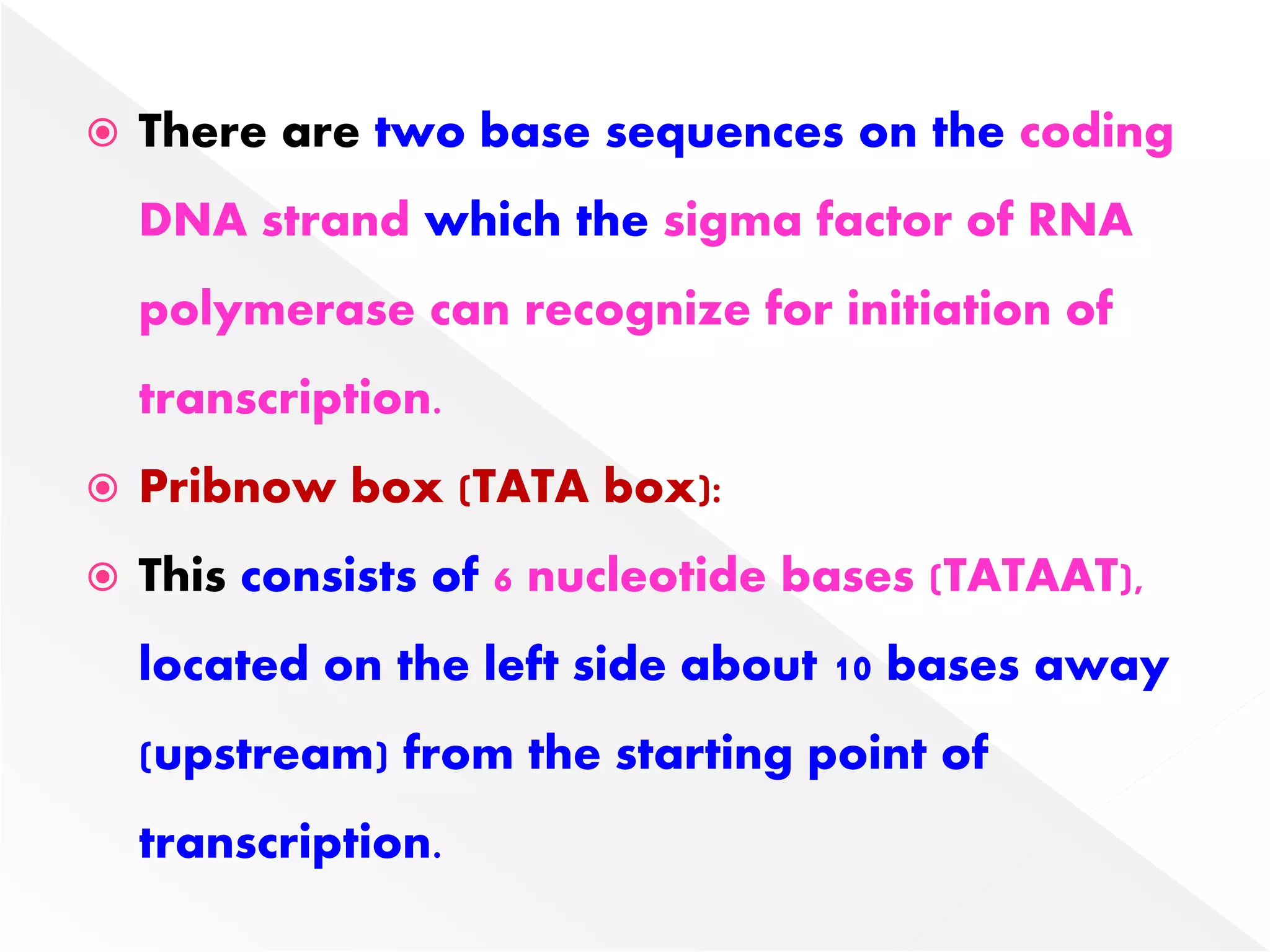  There are two base sequences on the coding
DNA strand which the sigma factor of RNA
polymerase can recognize for initiation of
transcription.
 Pribnow box (TATA box):
 This consists of 6 nucleotide bases (TATAAT),
located on the left side about 10 bases away
(upstream) from the starting point of
transcription.
 