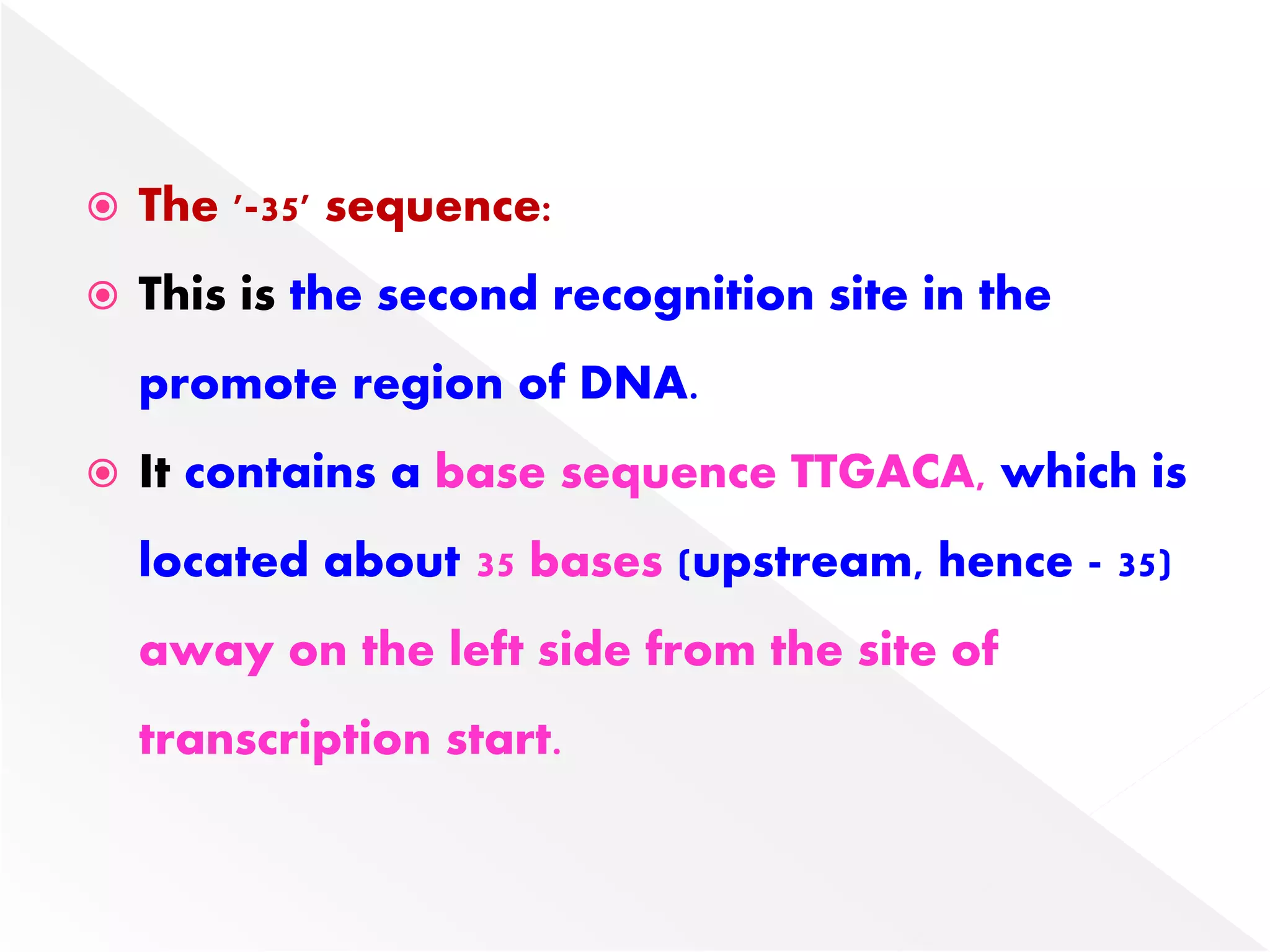 The '-35' sequence:
 This is the second recognition site in the
promote region of DNA.
 It contains a base sequence TTGACA, which is
located about 35 bases (upstream, hence - 35)
away on the left side from the site of
transcription start.
 