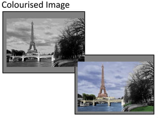 Colourised Image
 