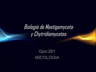 Biología de Mastigomycota
y Chytridiomycetes
Gpo:261
MICOLOGIA
 