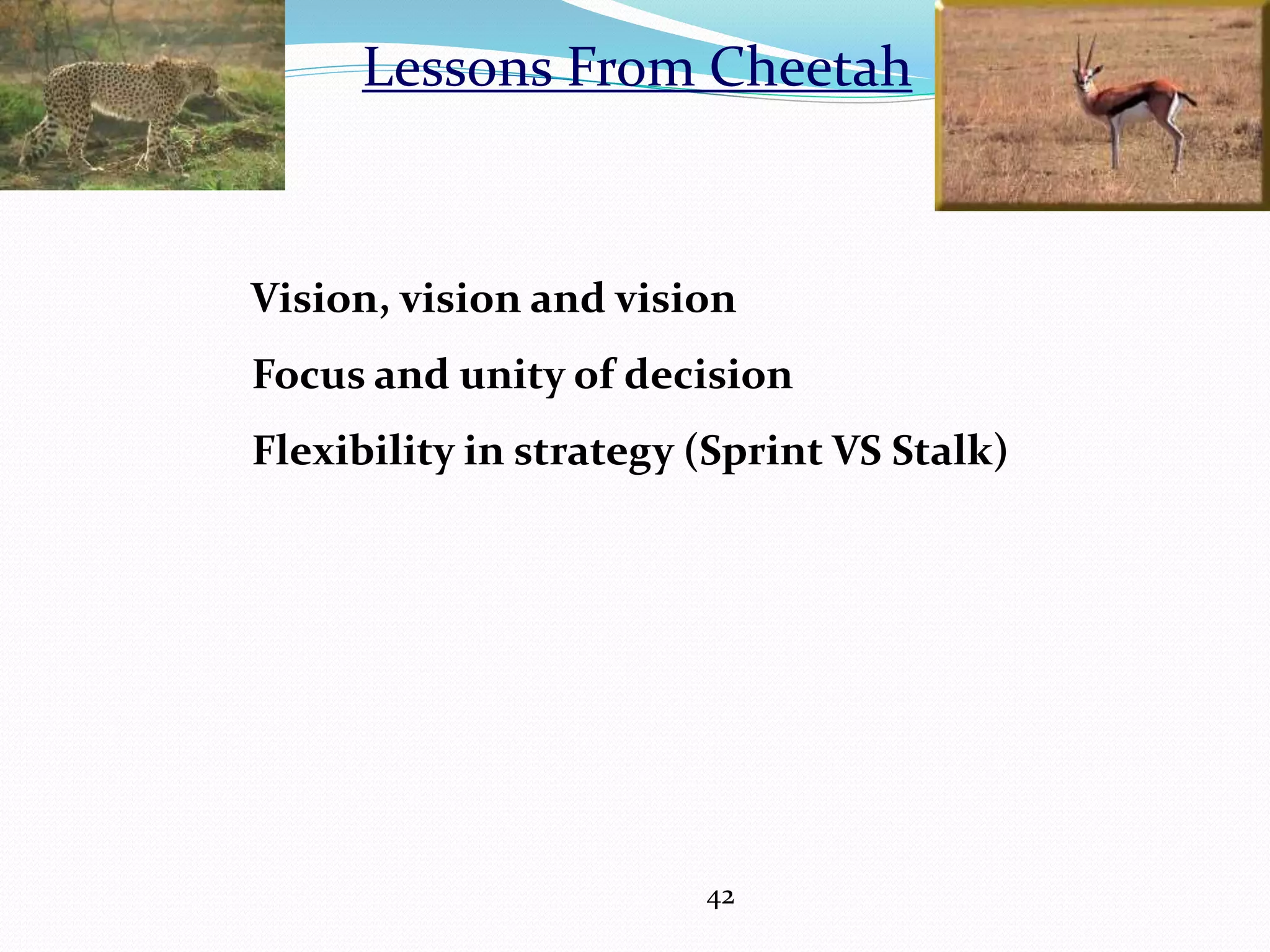 Lessons From Cheetah
Vision, vision and vision
Focus and unity of decision
Flexibility in strategy (Sprint VS Stalk)
42