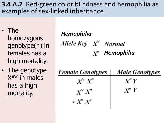 Red Green Color Blindness Pedigree Chart