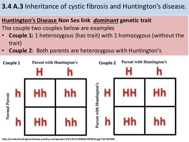 Huntington S Disease Inheritance Chart