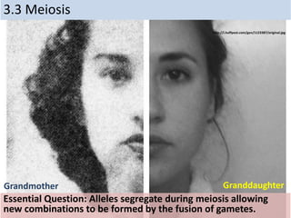 3.3 Meiosis
Essential Question: Alleles segregate during meiosis allowing
new combinations to be formed by the fusion of gametes.
http://i.huffpost.com/gen/1123387/original.jpg
Grandmother Granddaughter
 