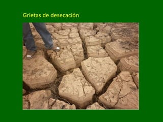 Grietas de desecación
 