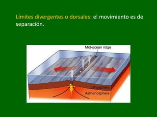 Límites divergentes o dorsales: el movimiento es de
separación.
 