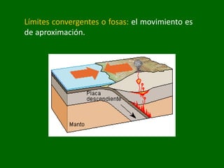 Límites convergentes o fosas: el movimiento es
de aproximación.
 