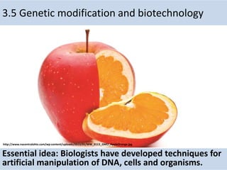3.5 Genetic modification and biotechnology
Essential idea: Biologists have developed techniques for
artificial manipulation of DNA, cells and organisms.
http://www.nacentralohio.com/wp-content/uploads/2013/01/WW_0113_GMO_AppleOrange.jpg
 