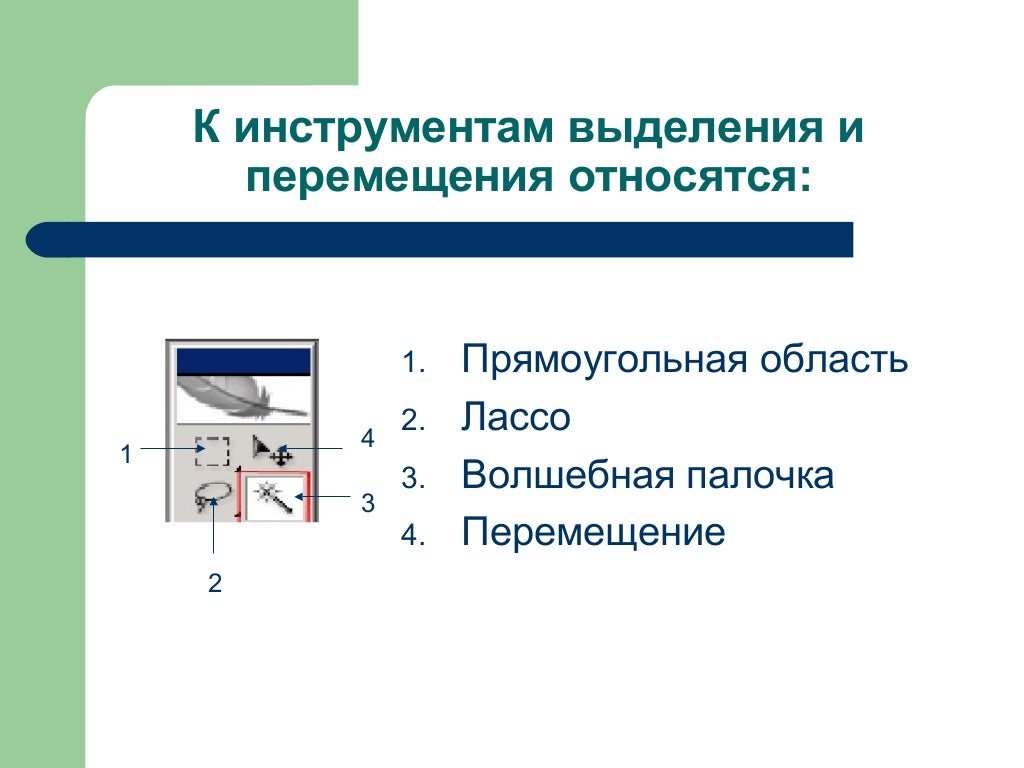 Работа с инструментами выделения. Инструменты выделения. какой из инструментов выделяют прямоугольную область информации.