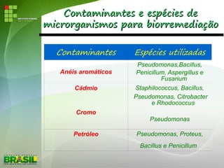 Contaminantes e espécies deContaminantes e espécies de
microrganismos para biorremediaçãomicrorganismos para biorremediação
Contaminantes Espécies utilizadas
Anéis aromáticos
Pseudomonas,Bacillus,
Penicillum, Aspergillus e
Fusarium
Cádmio Staphilococcus, Bacillus,
Pseudomonas, Citrobacter
e Rhodococcus
Cromo
Pseudomonas
Petróleo Pseudomonas, Proteus,
Bacillus e Penicillum
 