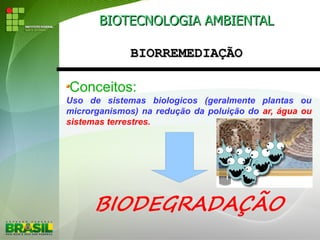 BIOTECNOLOGIA AMBIENTALBIOTECNOLOGIA AMBIENTAL
BIORREMEDIAÇÃOBIORREMEDIAÇÃO
Conceitos:
Uso de sistemas biologicos (geralmente plantas ou
microrganismos) na redução da poluição do ar, água ou
sistemas terrestres.
BIODEGRADAÇÃO
 