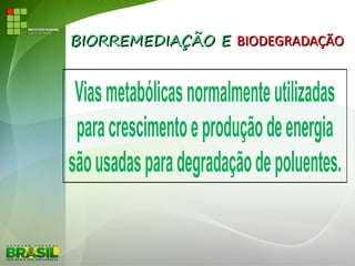 BIORREMEDIAÇÃO EBIORREMEDIAÇÃO E BIODEGRADAÇÃOBIODEGRADAÇÃO
Viasmetabólicasnormalmenteutilizadas
paracrescimentoeproduçãodeenergia
sãousadasparadegradaçãodepoluentes.
 