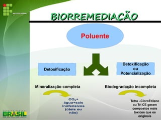 BIORREMEDIAÇÃOBIORREMEDIAÇÃO
Poluente
Detoxificação
Detoxificação
ou
Potencialização
Mineralização completa
CO2+
água+sais
inofensivos
(úteis ou
não)
Biodegradação incompleta
Tetra –CloroEtileno
ou Tri CE geram
compostos mais
toxicos que os
originais
 