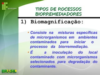 TIPOS DE ROCESSOSTIPOS DE ROCESSOS
BIORREMEDIADORESBIORREMEDIADORES
1) Biomagnificação:
Consiste na misturas específicas
de microrganismos em ambientes
contaminados para iniciar o
processo da biorremediação.
É a inoculação do local
contaminado com microrganismos
selecionados para degradação do
contaminante.
 