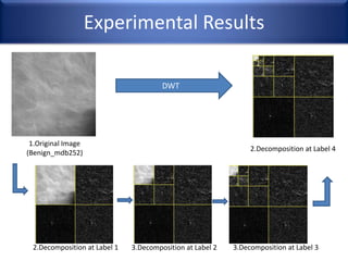 Experimental Results
1.Original Image
(Benign_mdb252)
2.Decomposition at Label 4
2.Decomposition at Label 1 3.Decomposition at Label 2 3.Decomposition at Label 3
DWT
 