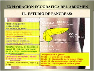 1.-
ECOANATOMIA:
EXPLORACION ECOGRAFICA DEL ABDOMEN
CUELLO
A/P: 4- 25 mm
CUERPO
A/P: 7 - 30 mm
COLA
A/P: 7 - 30 mm
CABEZA
A/P: 11- 30 mm
PROCESO
UNCINADO
Ecogenicidad: 4 grados
Grado I: igual que el hígado
Grado II: ligeramente mayor que el hígado
Grado III: claramente mayor que el hígado
Grado IV: tan ecogernica como la grasa
retroperit.
Contorno: bien definido, regular y
nítido
II.- ESTUDIO DE PANCREAS:
Estructura: carece de
segmentación anatómica,
clásicamente se divide en 4
partes.
Posición: epigastrio,
retroperitoneo
por delante de vasos
abdominales
a nivel de L1 y L2Forma: variable, carece de
cápsula verdadera (diabolo.
Renacuajo)
Tamaño: variable, medida cráneo
caudal 30 – 35 mm y eje mayor
de 16 a 20 cm, medida de mayor
utilidad es ant/post
Orientación: horizontal, oblicuo
o en media luna
 