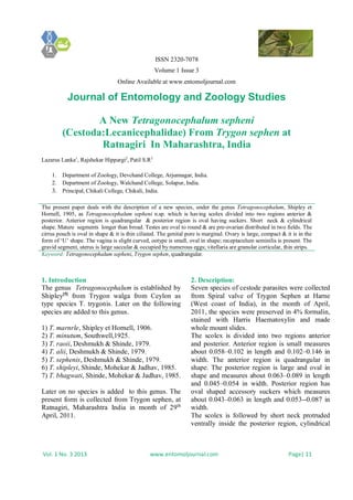 ISSN 2320-7078
Volume 1 Issue 3
Online Available at www.entomoljournal.com
Journal of Entomology and Zoology Studies
Vol. 1 No. 3 2013 www.entomoljournal.com Page| 11
A New Tetragonocephalum sepheni
(Cestoda:Lecanicephalidae) From Trygon sephen at
Ratnagiri In Maharashtra, India
Lazarus Lanka1
, Rajshekar Hippargi2
, Patil S.R3
1. Department of Zoology, Devchand College, Arjunnagar, India.
2. Department of Zoology, Walchand College, Solapur, India.
3. Principal, Chikali College, Chikali, India.
The present paper deals with the description of a new species, under the genus Tetragonocephalum, Shipley et
Hornell, 1905, as Tetragonocephalum sepheni n.sp. which is having scolex divided into two regions anterior &
posterior. Anterior region is quadrangular & posterior region is oval having suckers. Short neck & cylindrical
shape. Mature segments longer than broad. Testes are oval to round & are pre-ovarian distributed in two fields. The
cirrus pouch is oval in shape & it is thin ciliated. The genital pore is marginal. Ovary is large, compact & it is in the
form of ‘U’ shape. The vagina is slight curved, ootype is small, oval in shape; receptaculum seminilis is present. The
gravid segment, uterus is large saccular & occupied by numerous eggs; vitellaria are granular corticular, thin strips.
Keyword: Tetragonocephalum sepheni, Trygon sephen, quadrangular.
1. Introduction
The genus Tetragonocephalum is established by
Shipley[5]
from Trygon walga from Ceylon as
type species T. trygonis. Later on the following
species are added to this genus.
1) T. marnrle, Shipley et Hornell, 1906.
2) T. minutum, Southwell,1925.
3) T. raoii, Deshmukh & Shinde, 1979.
4) T. alii, Deshmukh & Shinde, 1979.
5) T. sephenis, Deshmukh & Shinde, 1979.
6) T. shipleyi, Shinde, Mohekar & Jadhav, 1985.
7) T. bhagwati, Shinde, Mohekar & Jadhav, 1985.
Later on no species is added to this genus. The
present form is collected from Trygon sephen, at
Ratnagiri, Maharashtra India in month of 29th
April, 2011.
2. Description:
Seven species of cestode parasites were collected
from Spiral valve of Trygon Sephen at Harne
(West coast of India), in the month of April,
2011, the species were preserved in 4% formalin,
stained with Harris Haematoxylin and made
whole mount slides.
The scolex is divided into two regions anterior
and posterior. Anterior region is small measures
about 0.058–0.102 in length and 0.102–0.146 in
width. The anterior region is quadrangular in
shape. The posterior region is large and oval in
shape and measures about 0.063–0.089 in length
and 0.045–0.054 in width. Posterior region has
oval shaped accessory suckers which measures
about 0.043–0.063 in length and 0.053--0.087 in
width.
The scolex is followed by short neck protruded
ventrally inside the posterior region, cylindrical
 