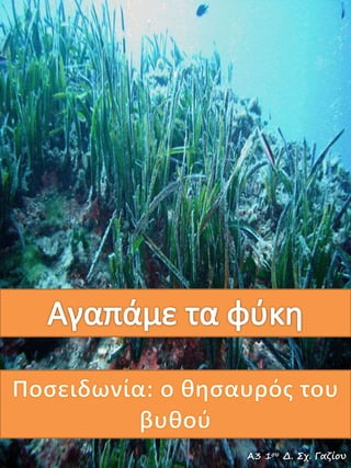 Α3 1ου Δ. Σχ. Γαζίου
 