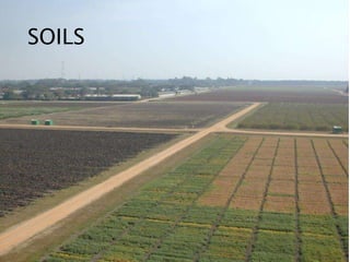 SOILS
 