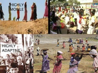 HIGHLY
ADAPTIVE
HIGHLY
MOBILE
 